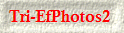 Tri-EfPhotos2 